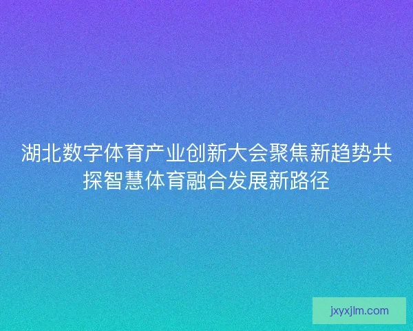 湖北数字体育产业创新大会聚焦新趋势共探智慧体育融合发展新路径